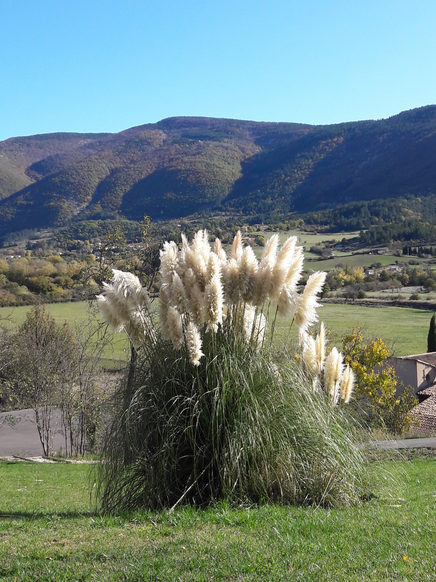 20191112-111138-1548