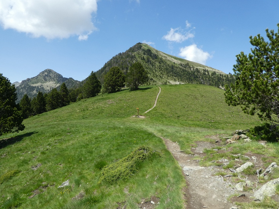 col-d-estoudou-soum-de-monpelat-p1000057-r-duit-1653