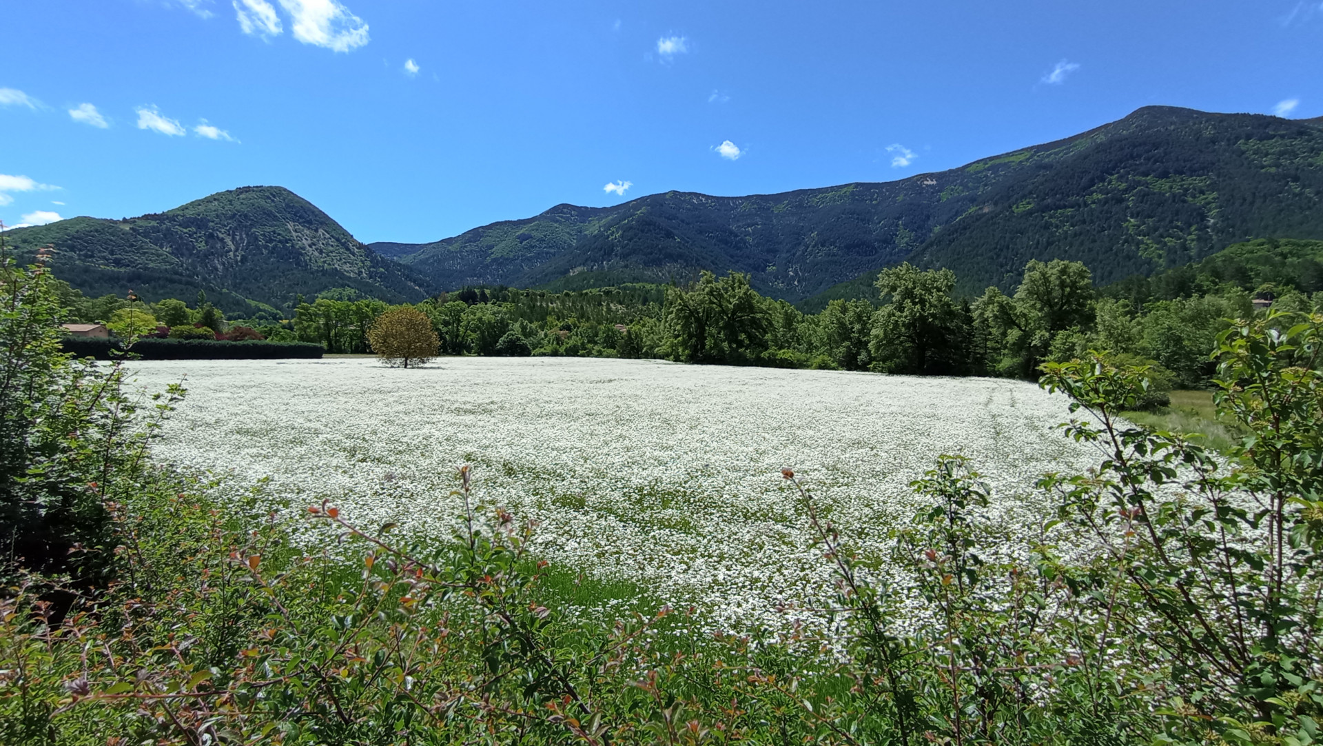 img-20240601-120441-1061