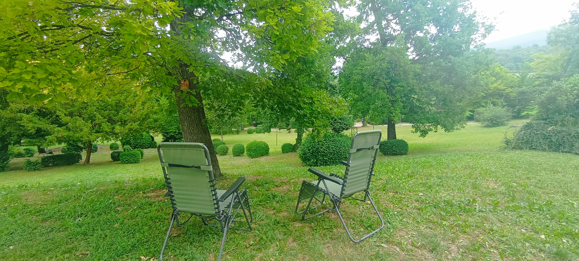 Jardin à l'ombre des arbres