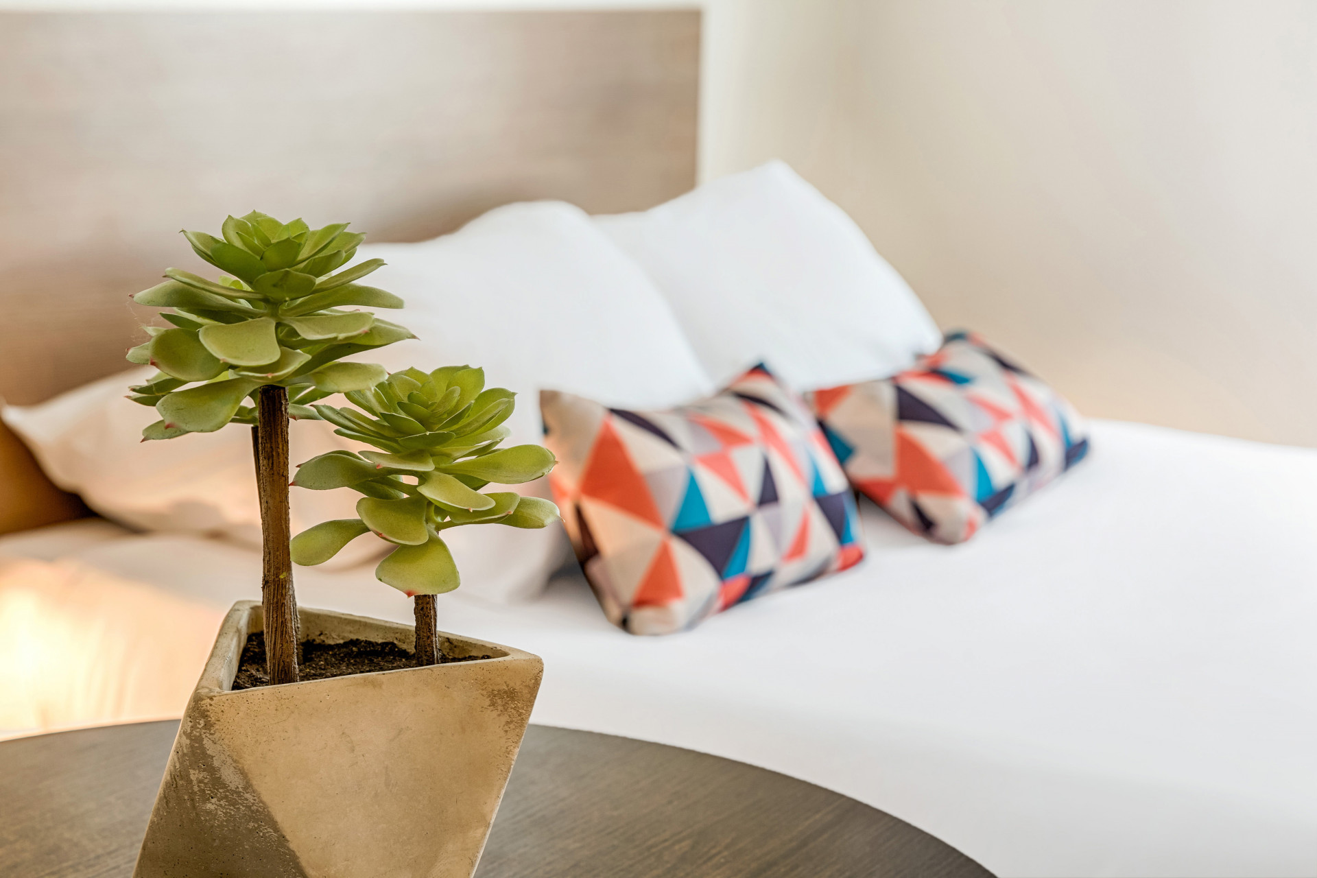 t1db-thon-thonon-les-bains-studio-double-05-11-19-9-480