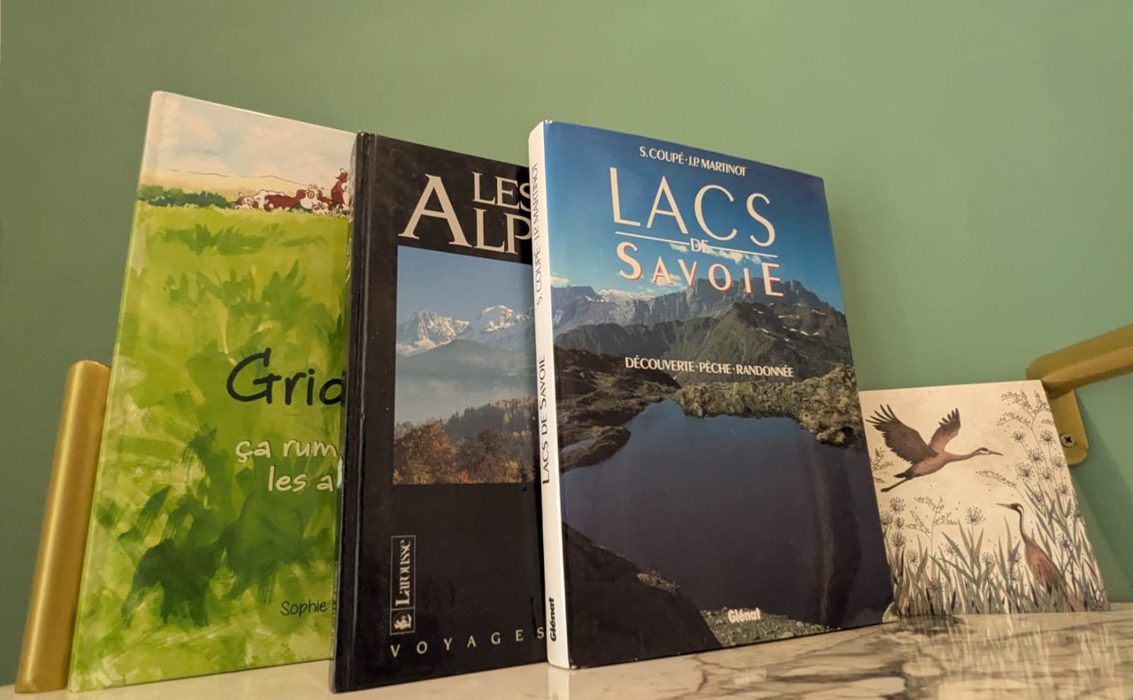 whatsapp-image-2025-08-05-18-32-05-050772d0-945