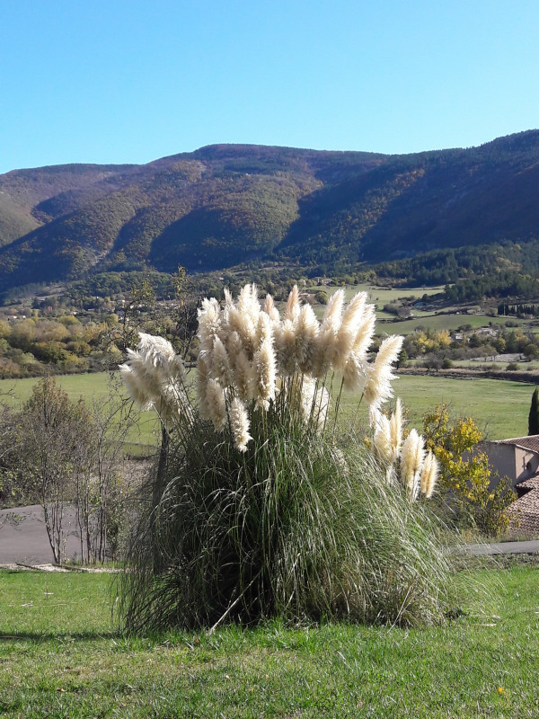 20191112-111138-1548