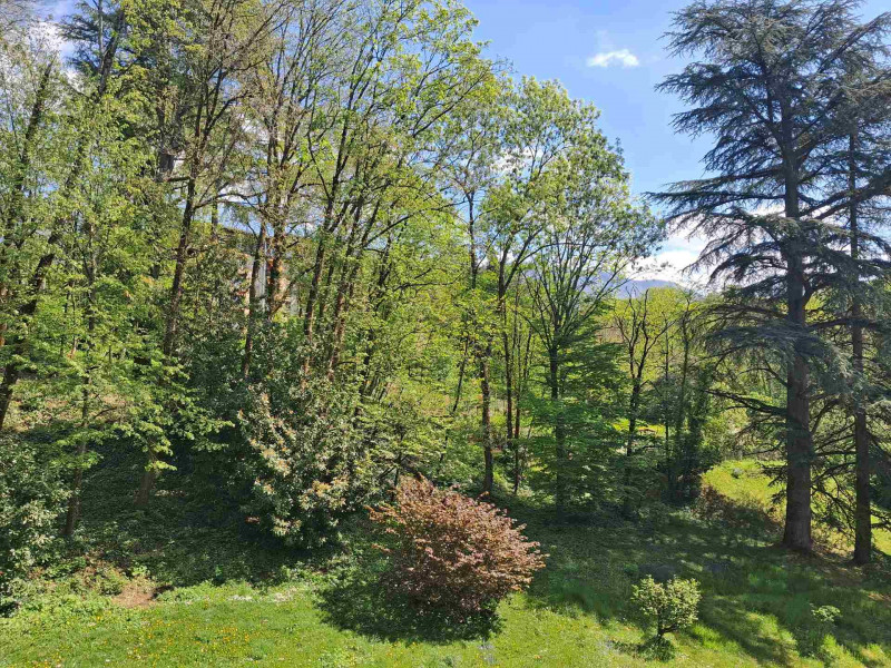 _lv_images__lot_0068376968_10_46649