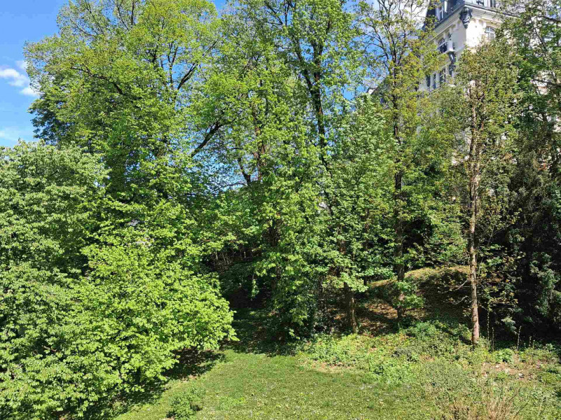 _lv_images__lot_0068376968_11_46650