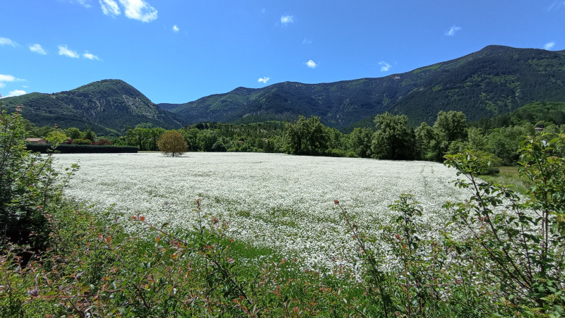 img-20240601-120441-1061