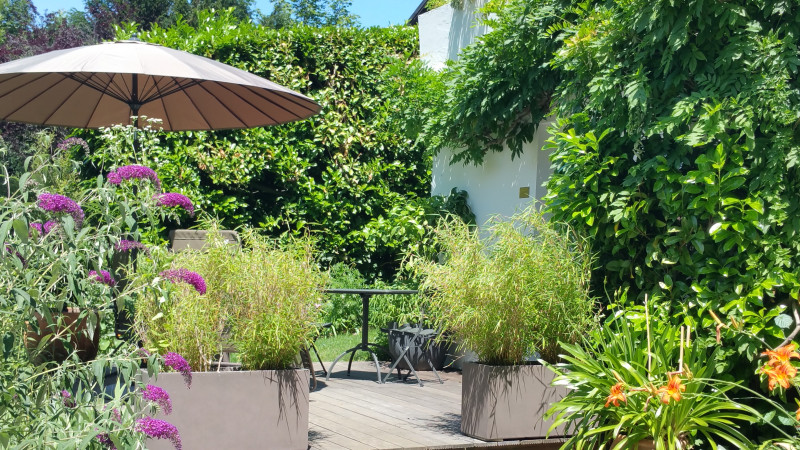 terrasse-juin-2017-4-copie-1317